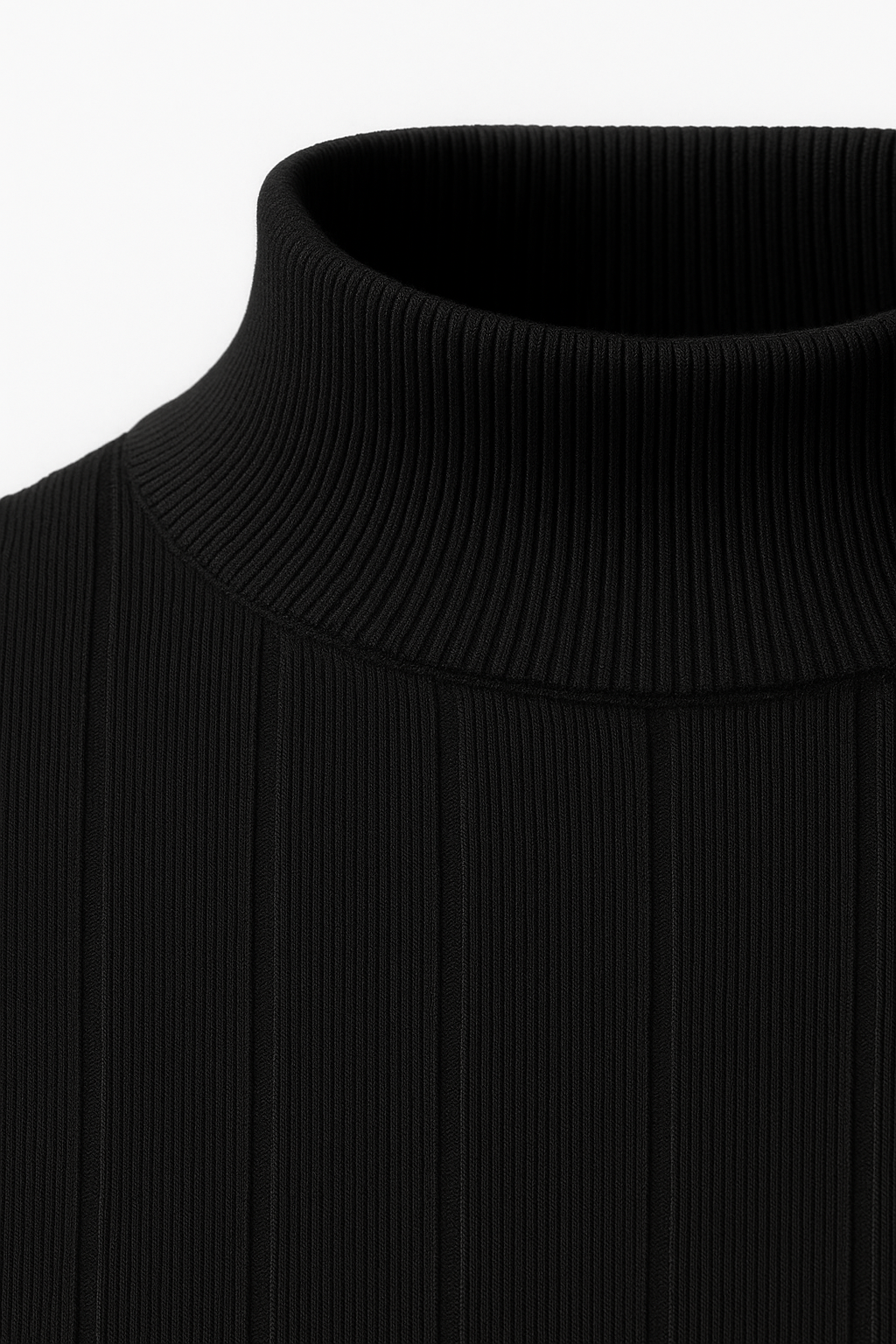 Arleno Turtleneck Black